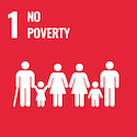 UN SDG No poverty