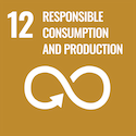 UN SDG Responsible consumption and production
