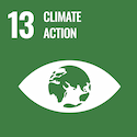 UN SDG Climate action