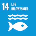 UN SDG Life below water