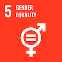 UN SDG Gender equality