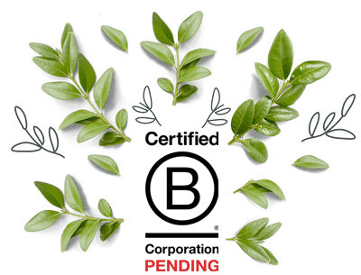 b corp pending