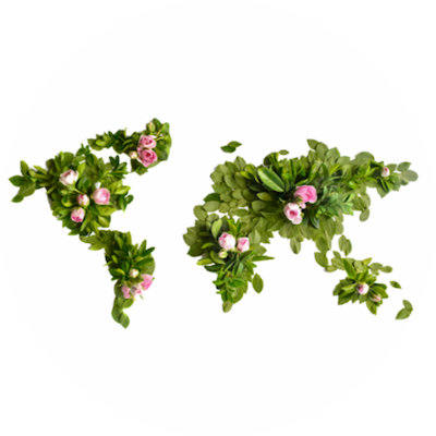 Carbon offset scheme is great from The Green Insurer