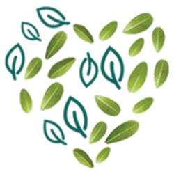 The Green Insurer's love heart with a mixture of leaves and the The Green Insurer icon