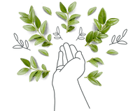 Hand illustration surrended by leaves.