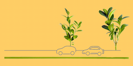 Embrace Greener driving habits to support the world and save you money.