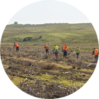 A diverse group of people collaborating in a field, engaged in agricultural work