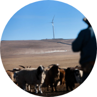 A man stands in front of a herd of goats, surrounded by green grass and trees.