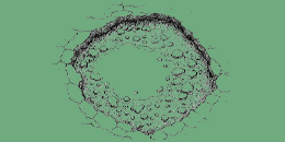 Illustration of pothole