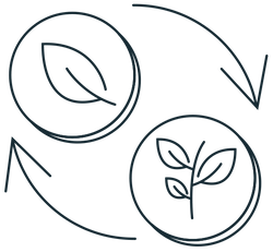 Illustration of coins moving in a circle to represent an exchange