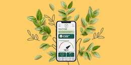 The Green Insurer app on a phone surrounded by leaves