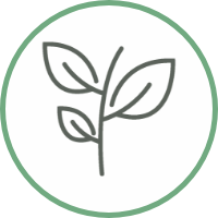 Illustration of The Green Insurer logo representing a forest growing